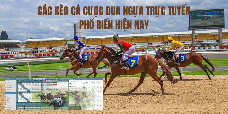 Các kèo cá cược đua ngựa trực tuyến phổ biến hiện nay