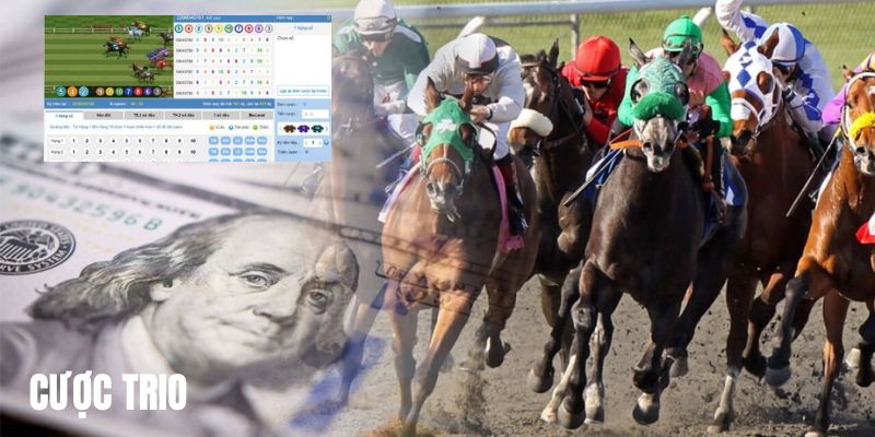 Cược Trio