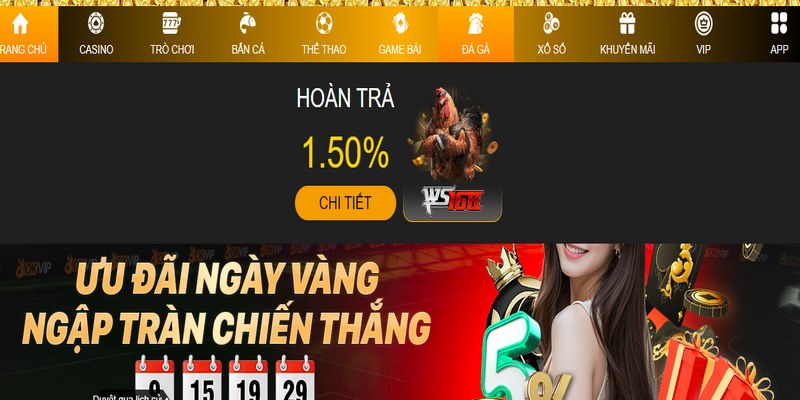 Nền tảng chat trực tiếp là một trong những công cụ tiện ích